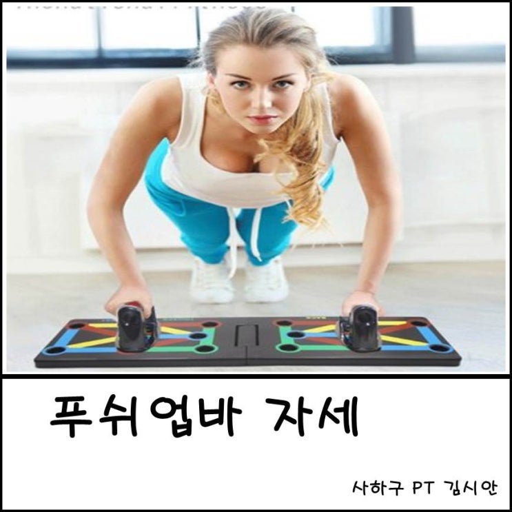 푸쉬업바 자세 괴정pt