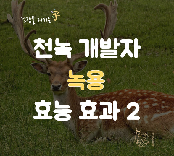  천녹 개발자의 녹용, 해독 효능 효과 부작용 이야기 2편 러시아 국내산 뉴질랜드 비교 공진단 사향