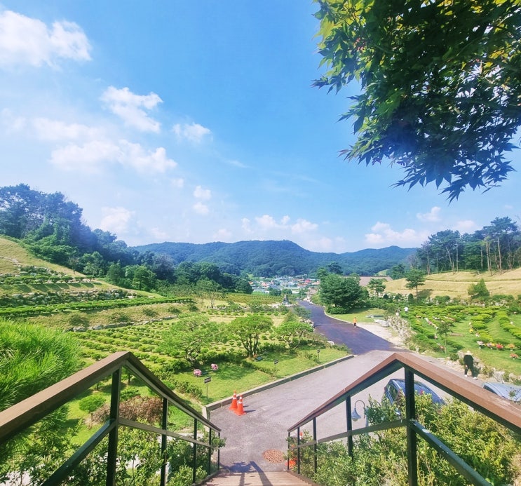  사전에 수목장 예약 여부와 장점