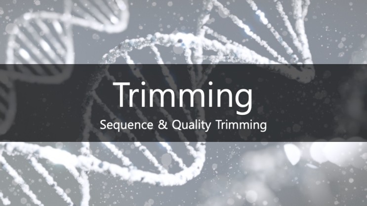 [BI / Trimming] Trimming에 대한 이해 및 설명