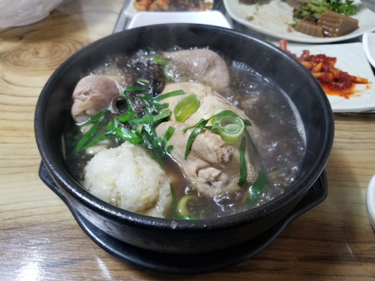 [맛집] 산채촌 (백숙, 삼계탕)