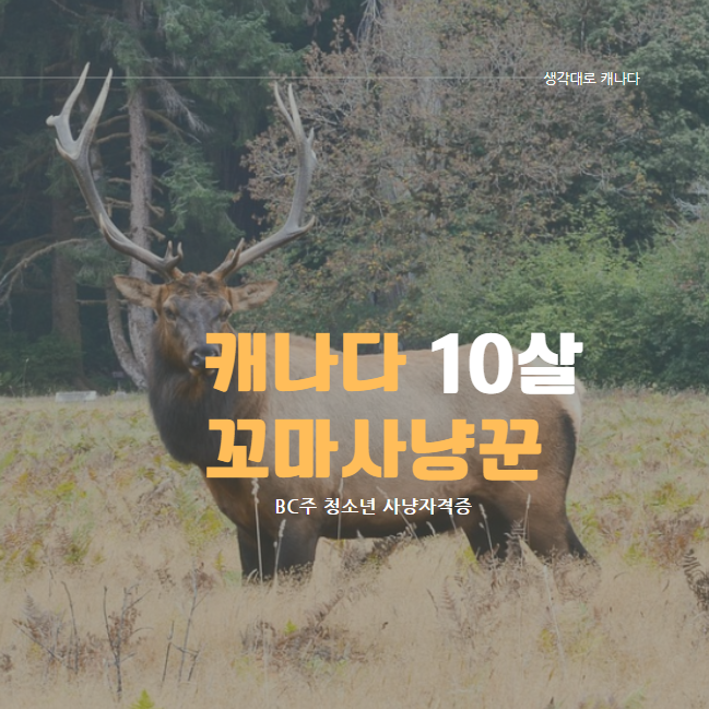  옆집 캐나다 소년은 꼬마 헌터!? (BC주 청소년 사냥자격증)