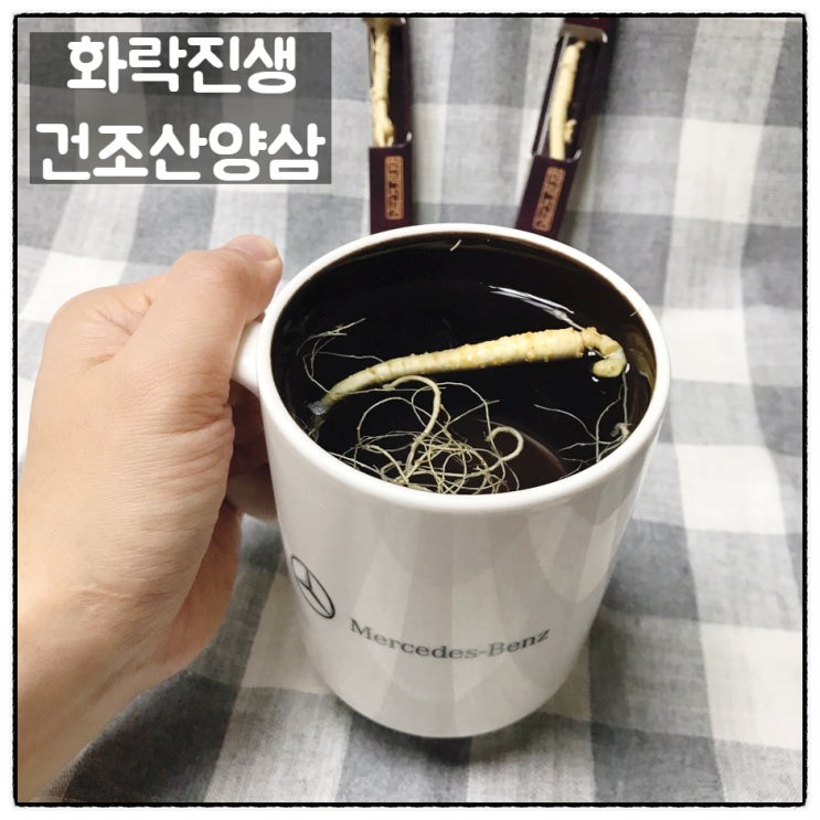  화락진생 건조산양삼 피부 노화방지 피로회복 및 면역력 향상에 도움 줄수 있는 산양삼차