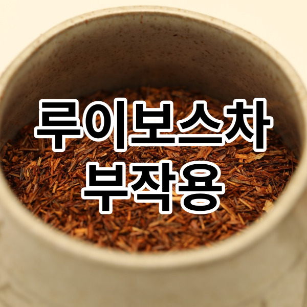  루이보스차 부작용 정말 있나요?
