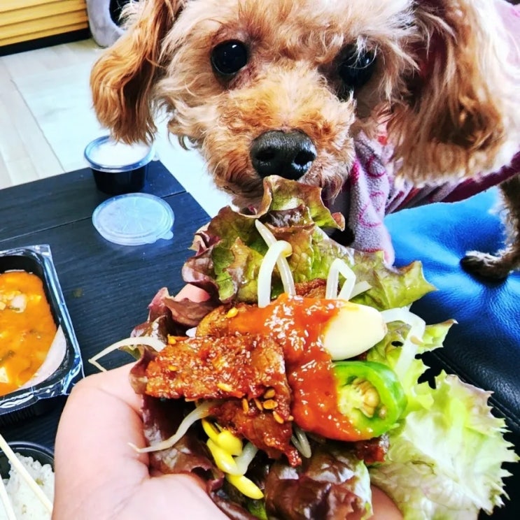  [용원신항맛집/용원배달] 신세계불고기 전문점 추억의 점심특선