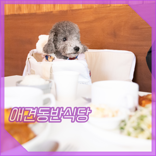  가정경양, 서서울호수공원 근처 애견동반식당