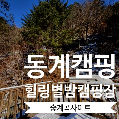  [캠핑일기] 서울근교 오토캠핑장 힐링별밤캠핑장 숲계곡사이트