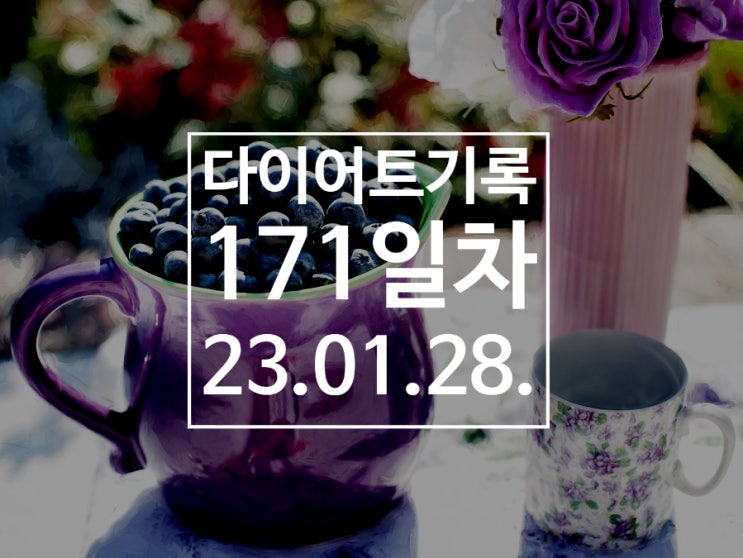  [다이어트기록DAY171] 체리 마지막 날 ㅠㅠ