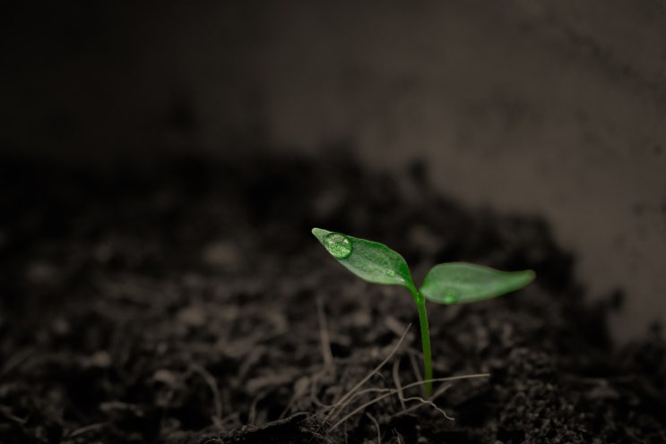 블로그 닉네임 'Being+Doing' 블로그 닉네임 'Being+Doing'