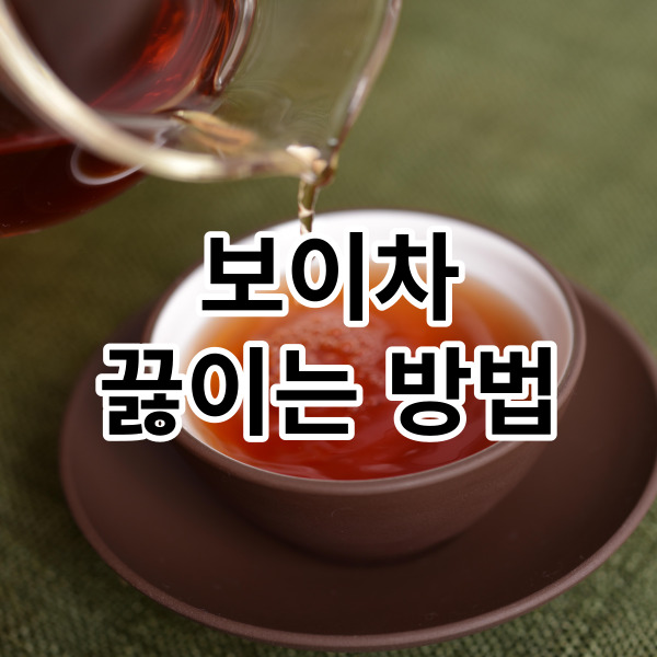  보이차끓이는방법 제대로 알고 맛있게 마시자!