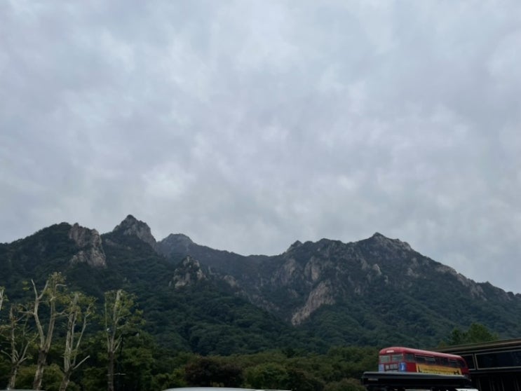  [설악] 켄싱턴호텔 설악, 스탠다드 더블, 비전망
