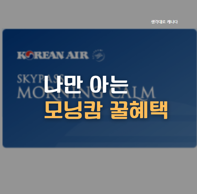  홈피에는 안 나와있는 나만 아는 모닝캄 꿀 혜택 (KAL라운지가족동반, 우선탑승, 무료수하물 etc)