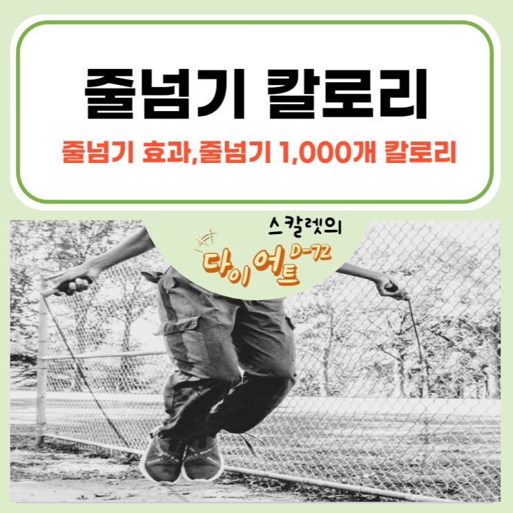  줄넘기 1000개 칼로리 알아보고  줄넘기 다이어트하기