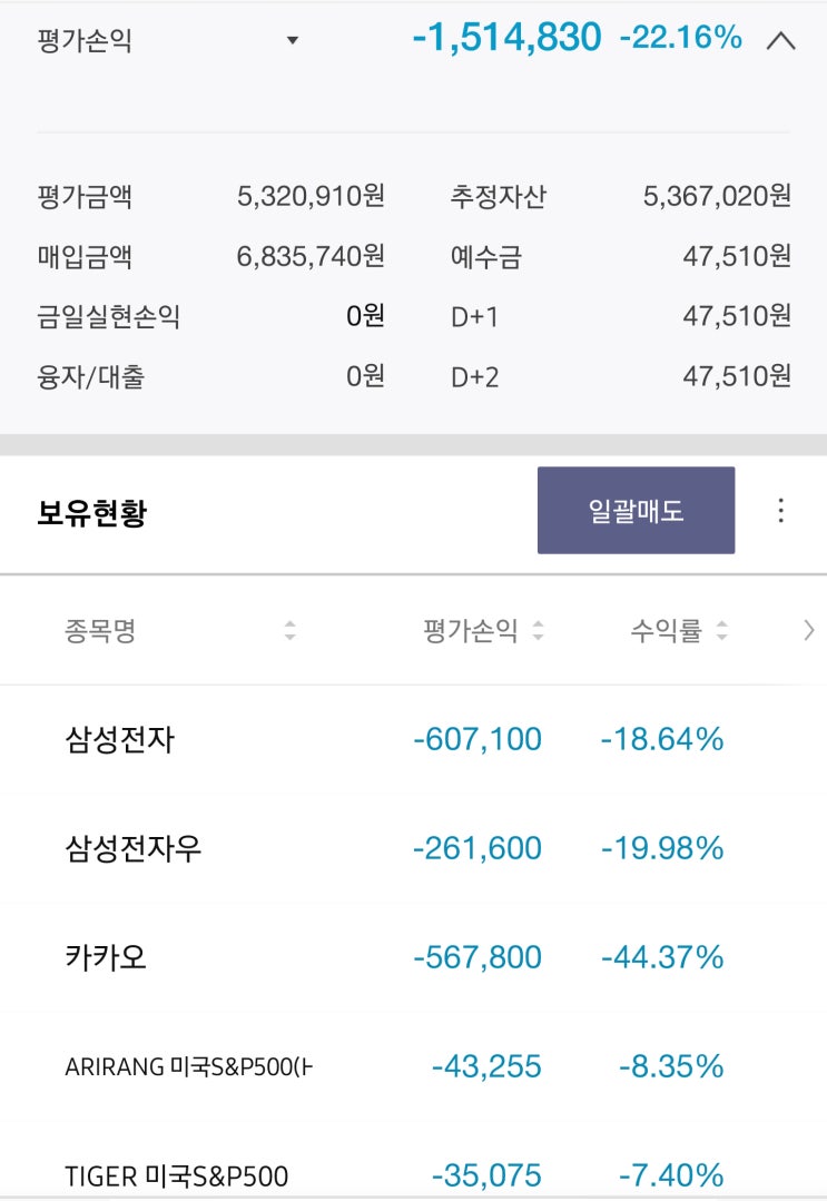 퇴사일기#1 - 곧 완전히 무소속이 될 백수, 내 자산 상황 점검해보자