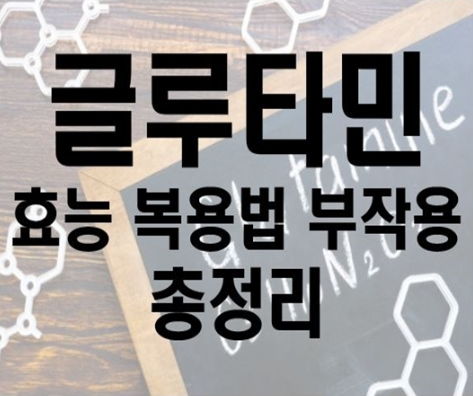 글루타민 효능 효과 복용법 부작용 총정리