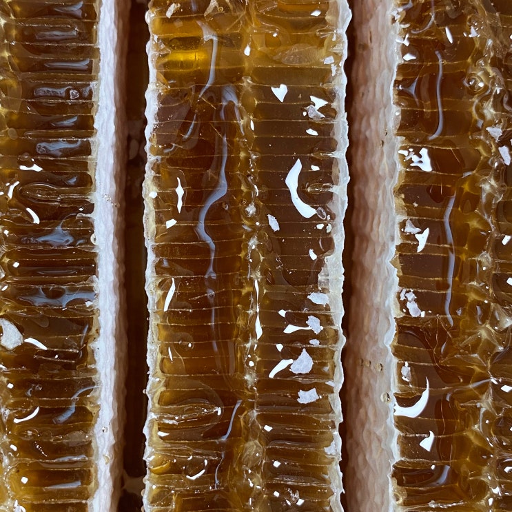 벌꿀집 꿀 떨어지는 이유를 알겠네 맛있게 먹는 방법 효능 리뷰