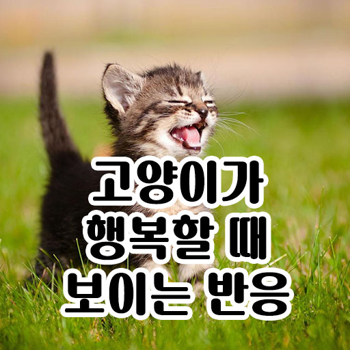  고양이가 행복할 때 보이는 반응