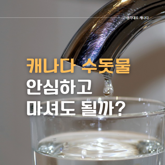  캐나다 수도, 수돗물 마셔도 되나요? (딱 정리해드림, 한국, 캐나다 수돗물 수질 비교)