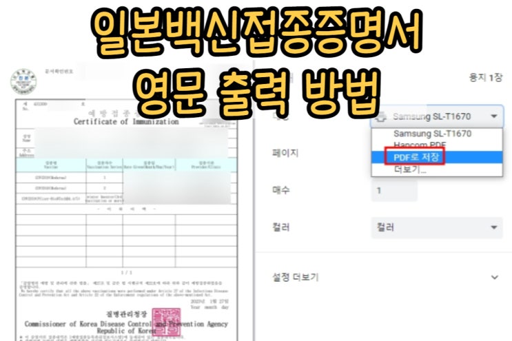  일본백신접종증명서 영문 출력 방법
