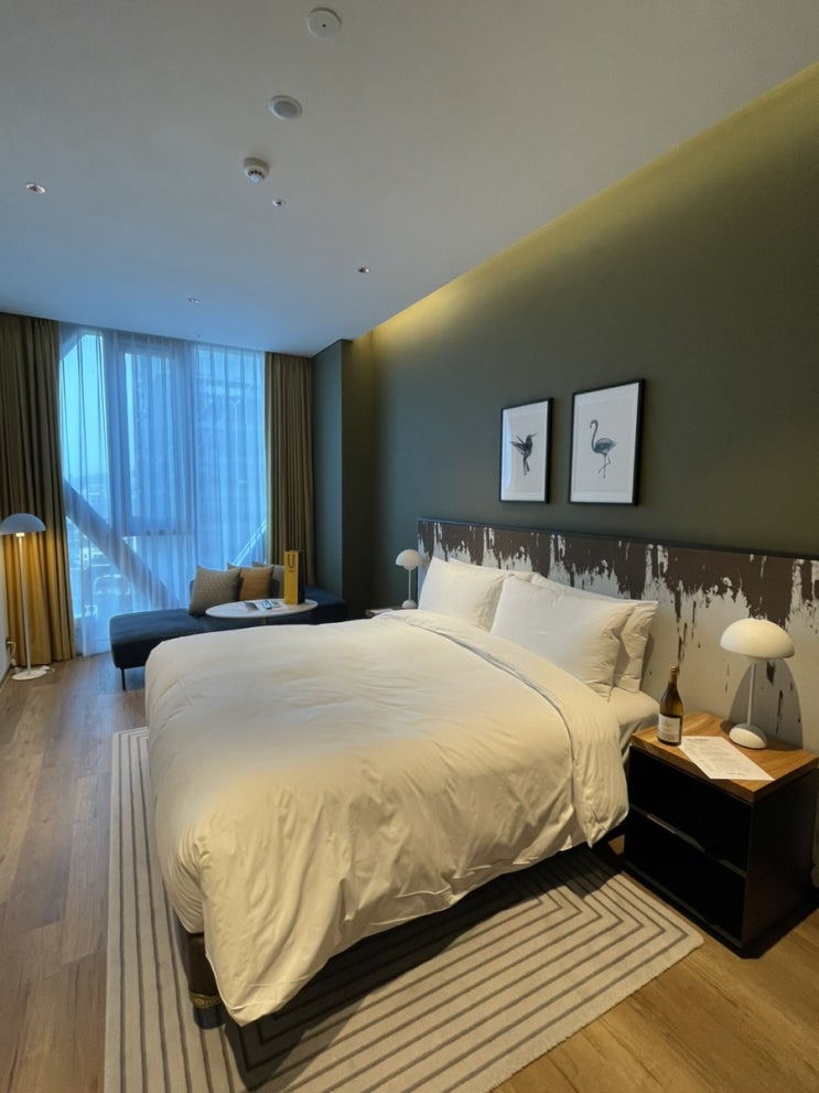  [신사 new 호텔] IHG 보코 서울 강남 내돈내산 후기 1탄(+ 프리미엄 샤워룸, 위치, 카카오 메이커스 프로모션, 조식 아마리오 등)