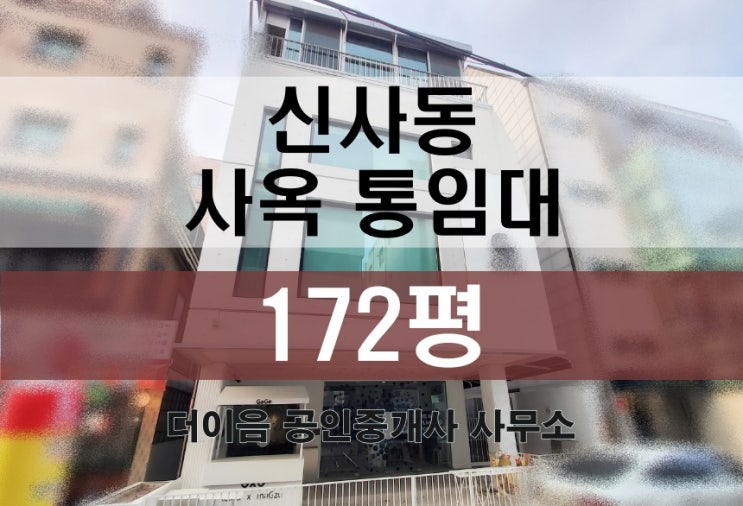 신사동 통임대 172평, 가로수길 상가 쇼룸 통사옥 임대