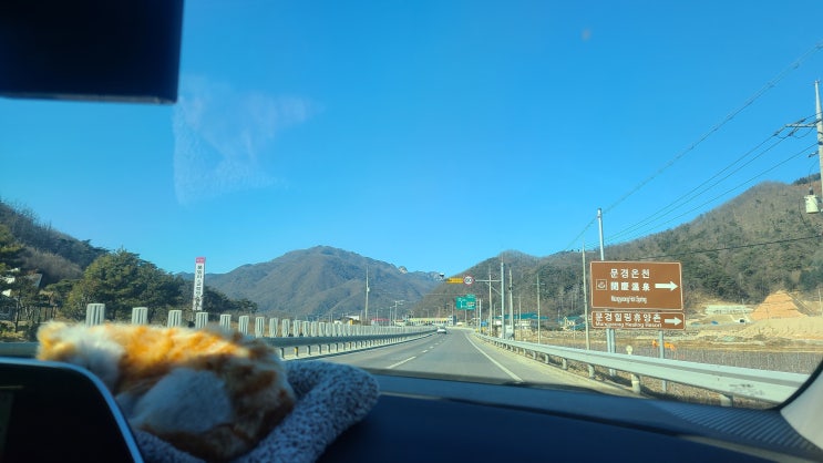  블로그 닉네임 뜻?