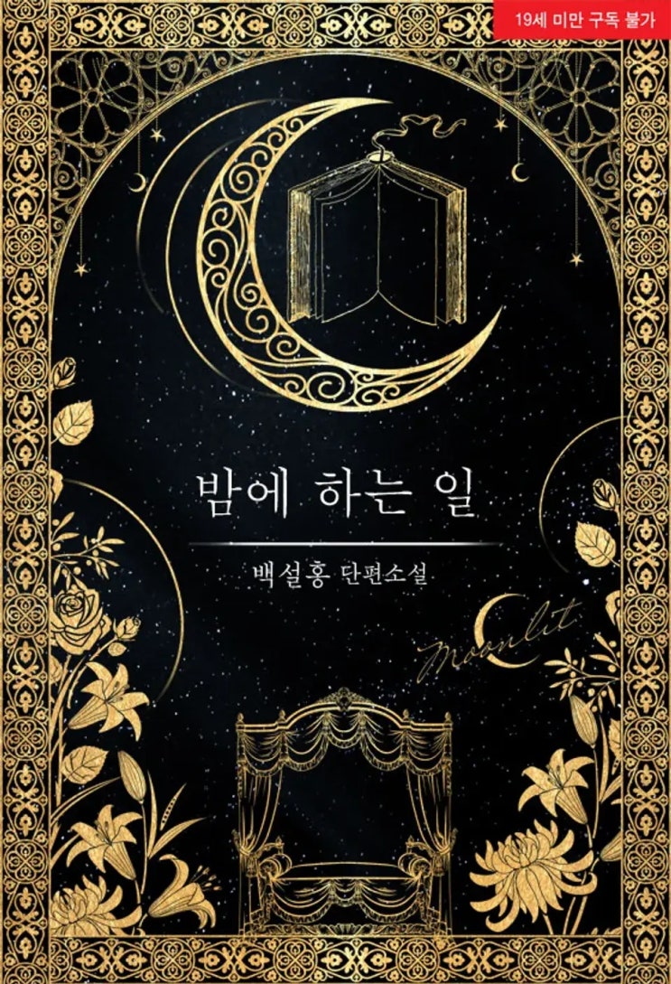  [로판소설 리뷰] 밤에 하는 일 - 백설홍