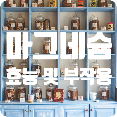  내가 마그네슘 챙겨 먹는 이유 - 효능 및 부작용