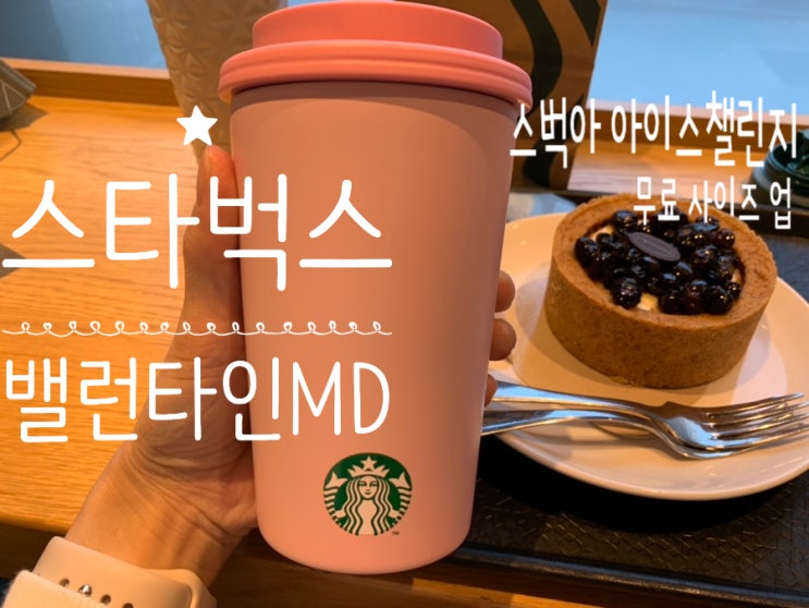 스타벅스 발렌타인MD SS밸런타인 JDN 핑크텀블러구입/ 아이스챌린지 카페아메리카노 이벤트로 사이즈업해서 커피 마시기! (+블루베리쿠키치즈케이크, 아이스블론드아메리카노,오늘의커피) 스타벅스 발렌타인MD SS밸런타인 JDN 핑크텀블러구입/ 아이스챌린지 카페아메리카노 이벤트로 사이즈업해서 커피 마시기! (+블루베리쿠키치즈케이크, 아이스블론드아메리카노,오늘의커피)