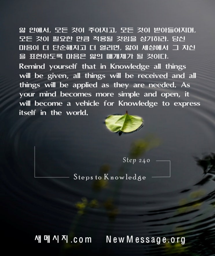 제 240 계단 : 작은 관념들은 나에게 필요한 앎을 충족시켜 줄 수 없다 Small ideas cannot fulfill my need for Knowledge.