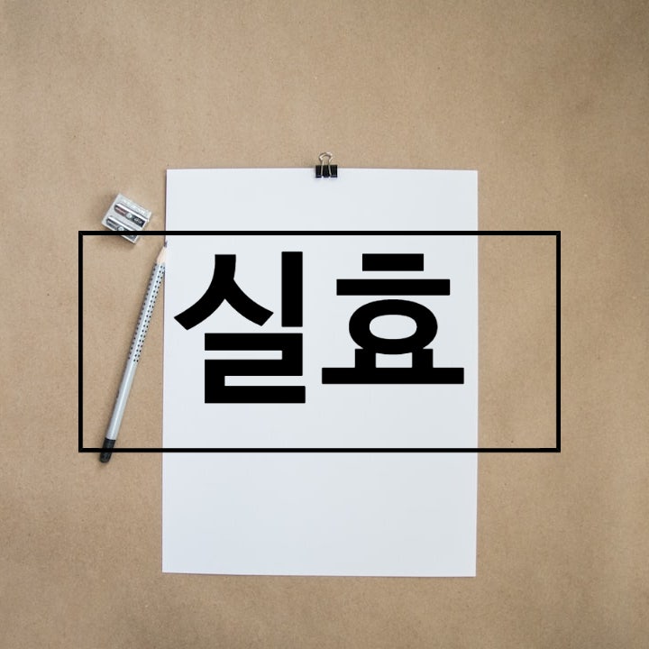  공법/장기미집행 도시·군계획시설/ 실효