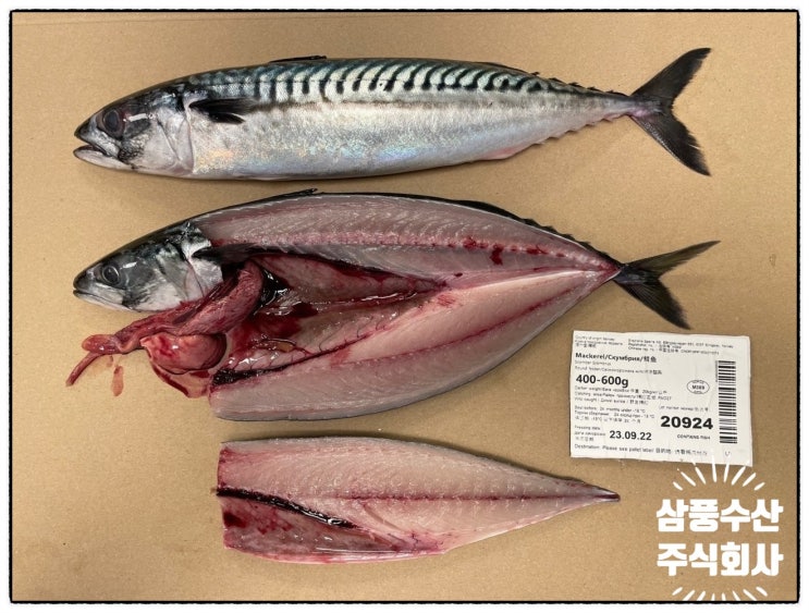  생선구이업체에서 많이 사용하는 제품들(고등어.임연수.갈치.조기.꽁치.삼치.도매)구매방법에 관하여 알려드립니다.