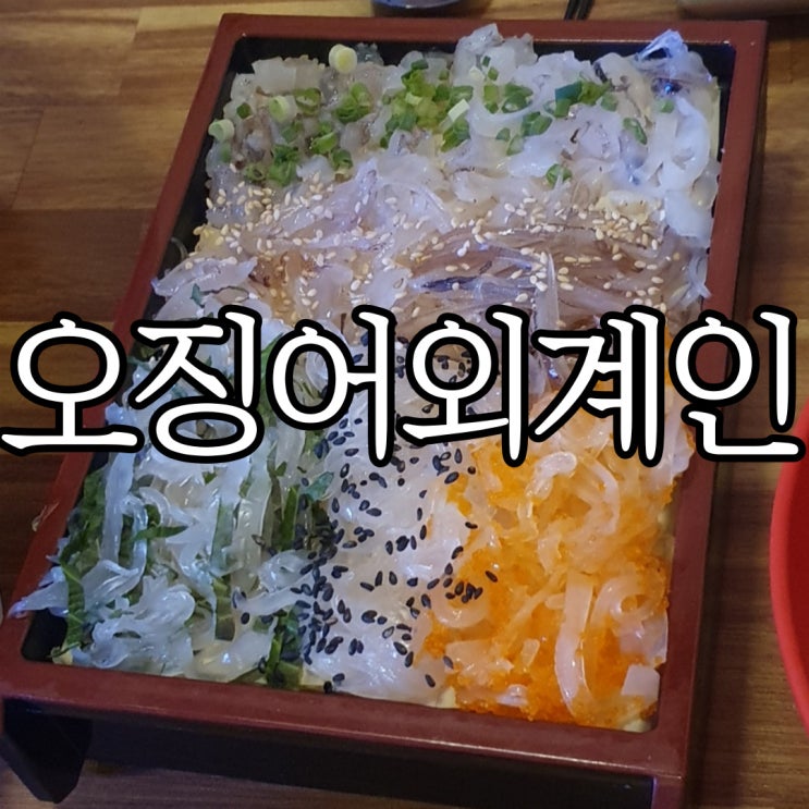  상남동 고인돌사거리 술집 추천 오징어회맛집 오징어외계인