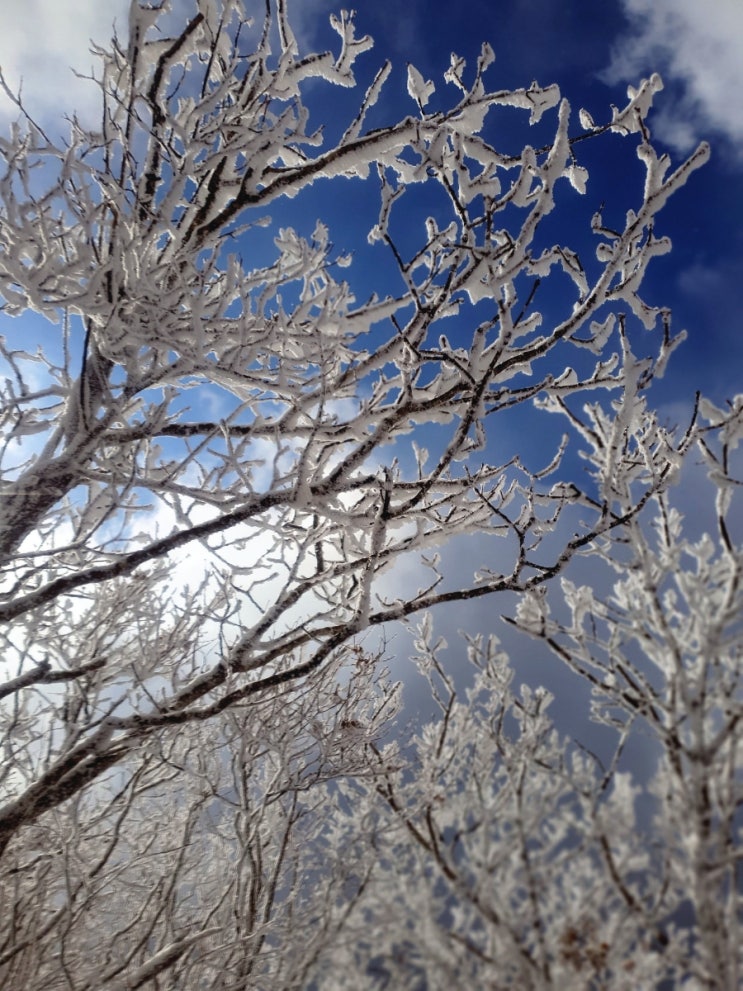  230129 덕유산 겨울 산행