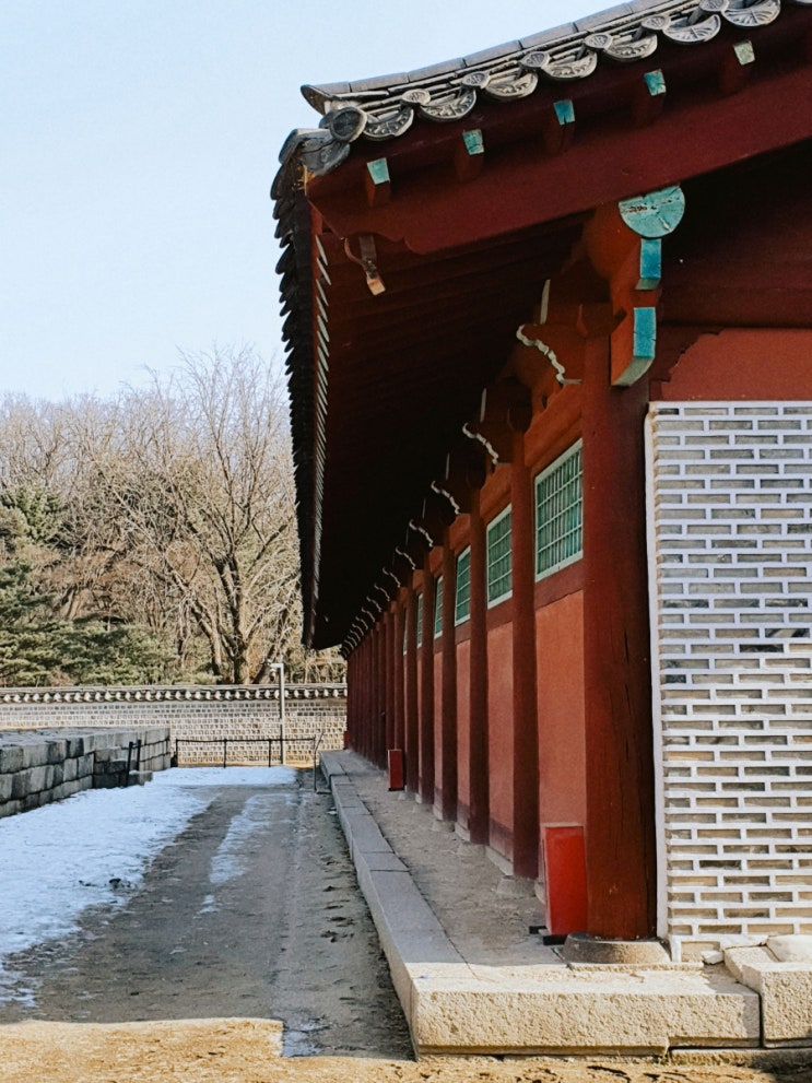  230129 일 | 돌라클 모닝