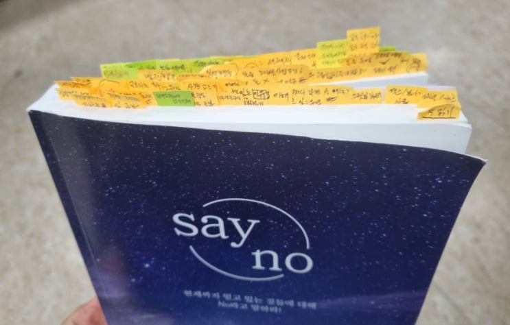  세이노의 가르침 소개 : 한국 자기계발 서적의 아버지