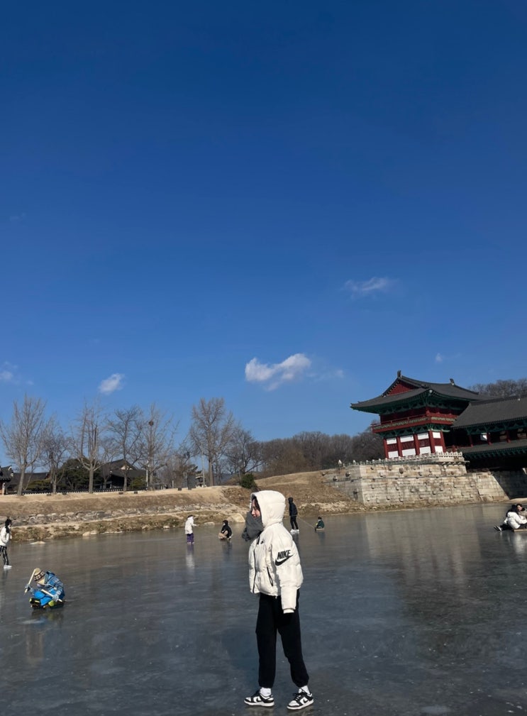  경주 가볼 만한 곳/ 천연 아이스링크장 월정교 (주차장, 썰매 가격)