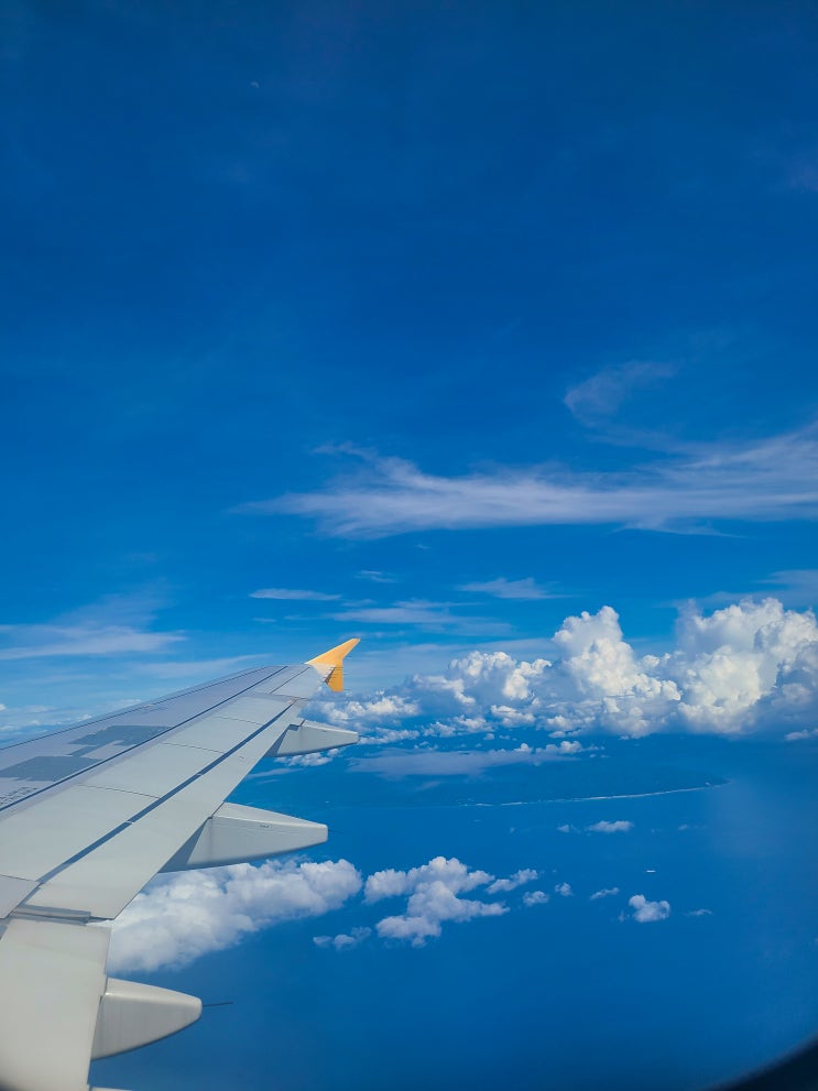  3년 만의 해외여행 필리핀 보홀 김해공항 해외여행 준비부터 돌아오는 일정