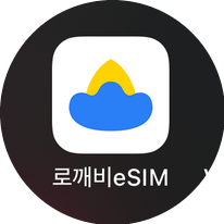 일본 eSIM 후기 _ 로밍도깨비 eSIM으로 간편하게 로밍 데이터 사용하기