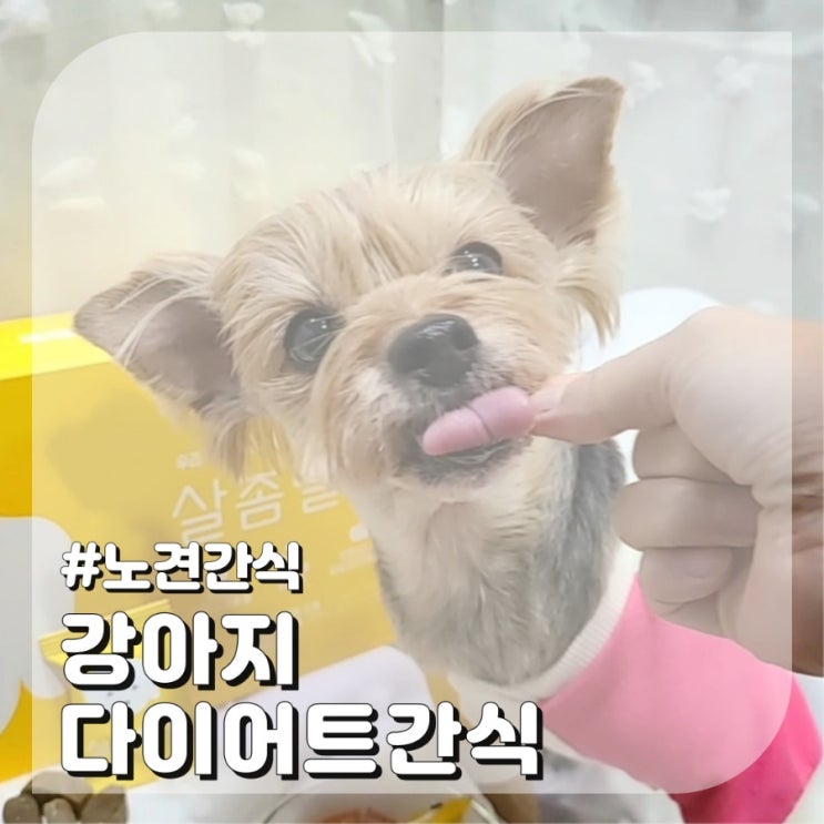  강아지 다이어트 간식 살좀뺄개 노견간식 후기