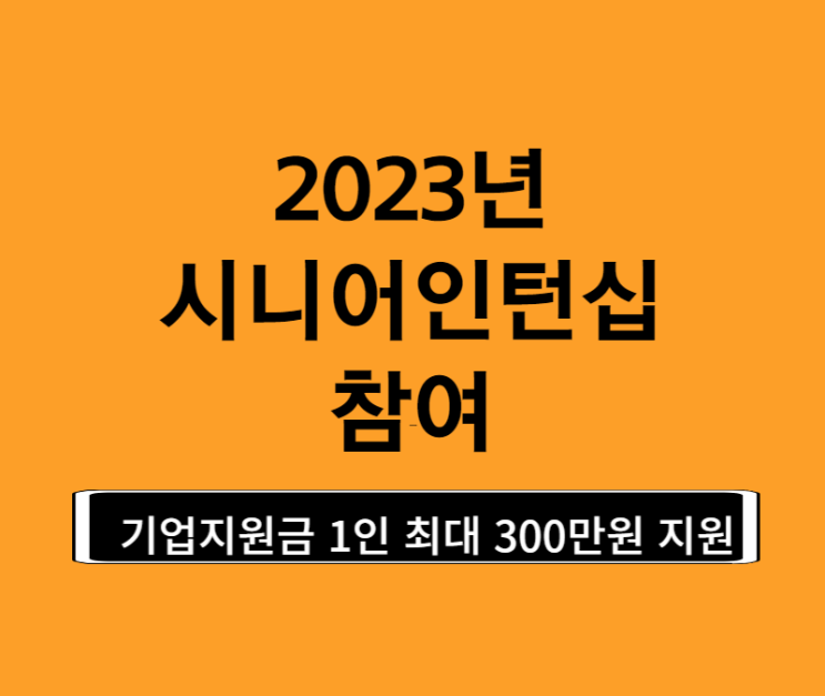  2023년 시니어인턴십 참여로 일자리를 찾아봐요