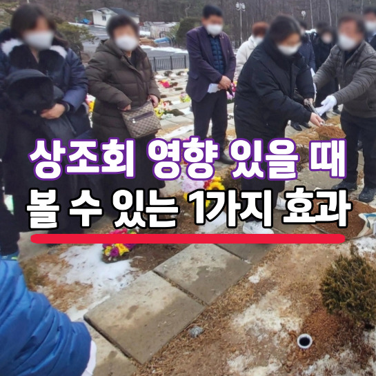  아주대병원장례식장 용인 로뎀파크 수목장 유골함 1 SErVicE (fT. 수원수목장)