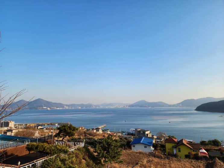  겨울 거제 가볼만한곳 여행 코스 (애견동반 여행 가능)