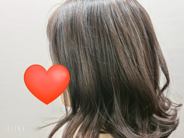  시지미용실 톤다운 머리를=>하이라이트염색+애쉬브라운 컬러로 완벽 변신  헤어토모다찌