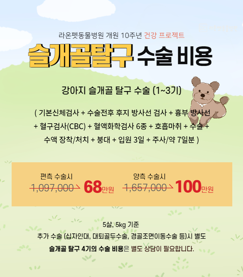 개 슬개골 탈구 수술 비용은 어느 정도가 적당할까? [잠실동물병원]