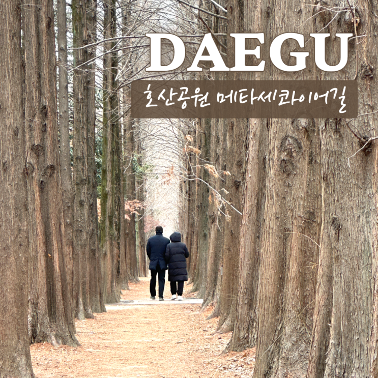  호산공원 대구 메타세콰이어길 산책하기좋은 달서구 가볼만한곳