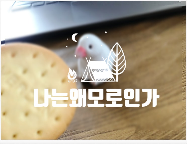  [블로그씨] 5. 나는 왜 모로인가