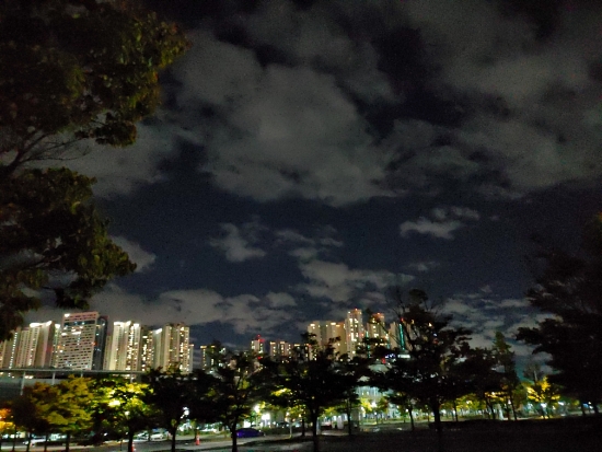 (독서 하와이 낙서장) today 오늘 그리고 감사 (독서 하와이 낙서장) today 오늘 그리고 감사