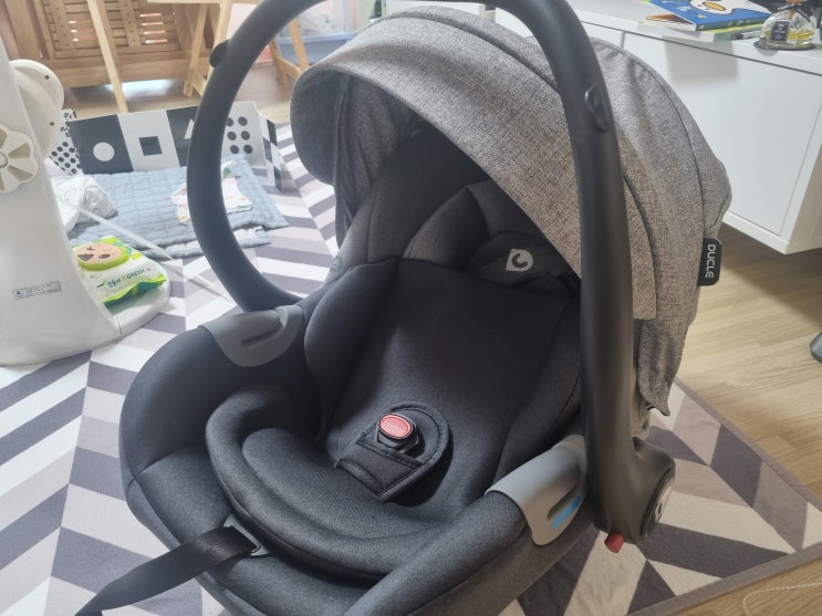  듀클 캐리 신생아 바구니형 카시트 구매 후기!!