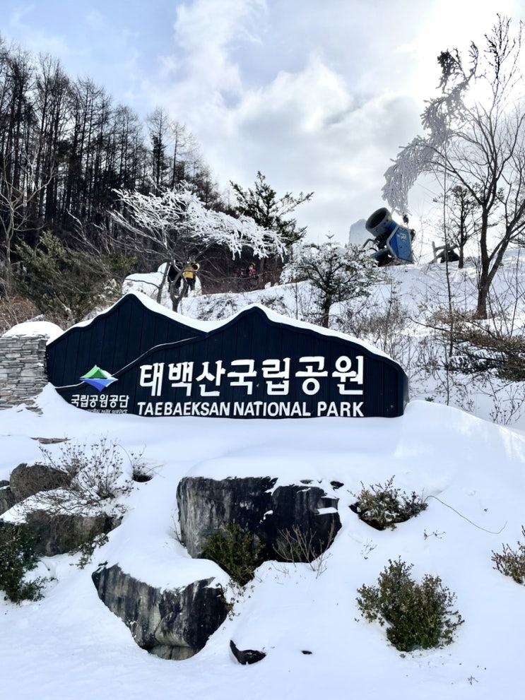  국내여행 강원도 태백산 눈꽃축제 30회